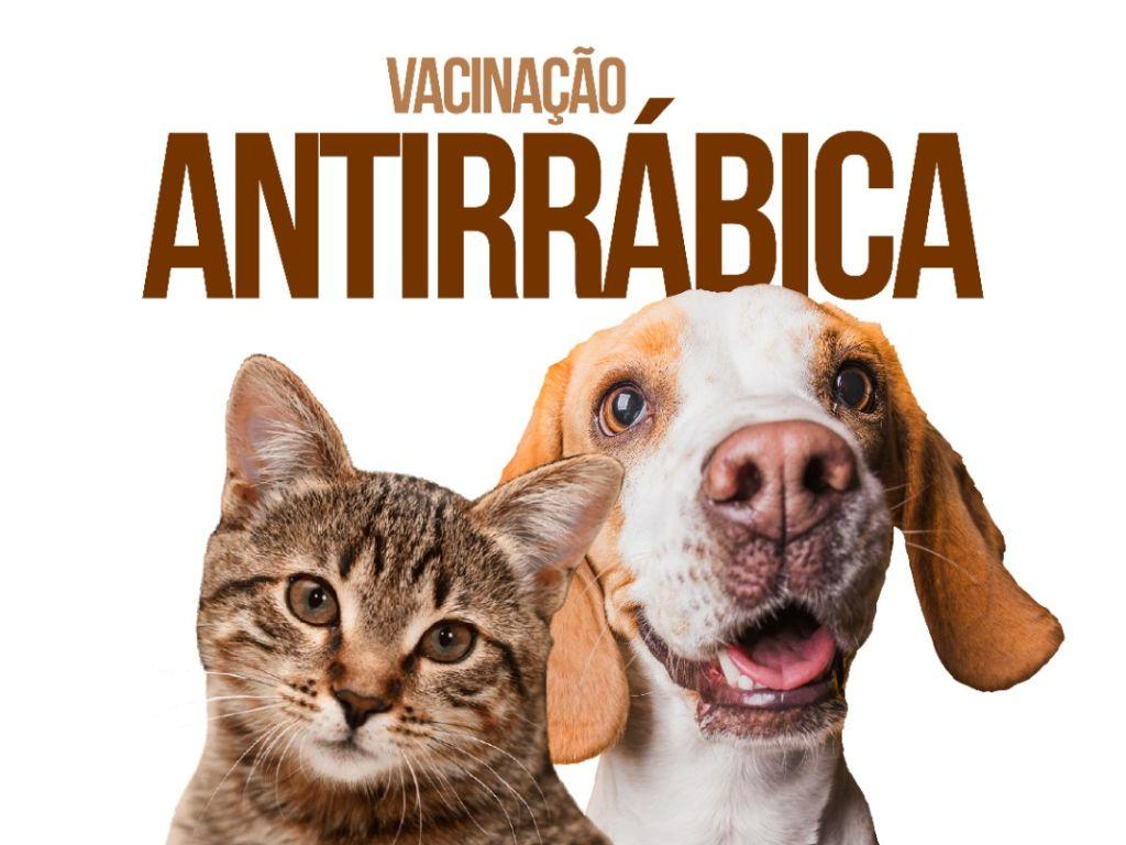 Campanha de vacinação antirrábica é lançada pela Prefeitura de Ipatinga para proteger a zona rural
