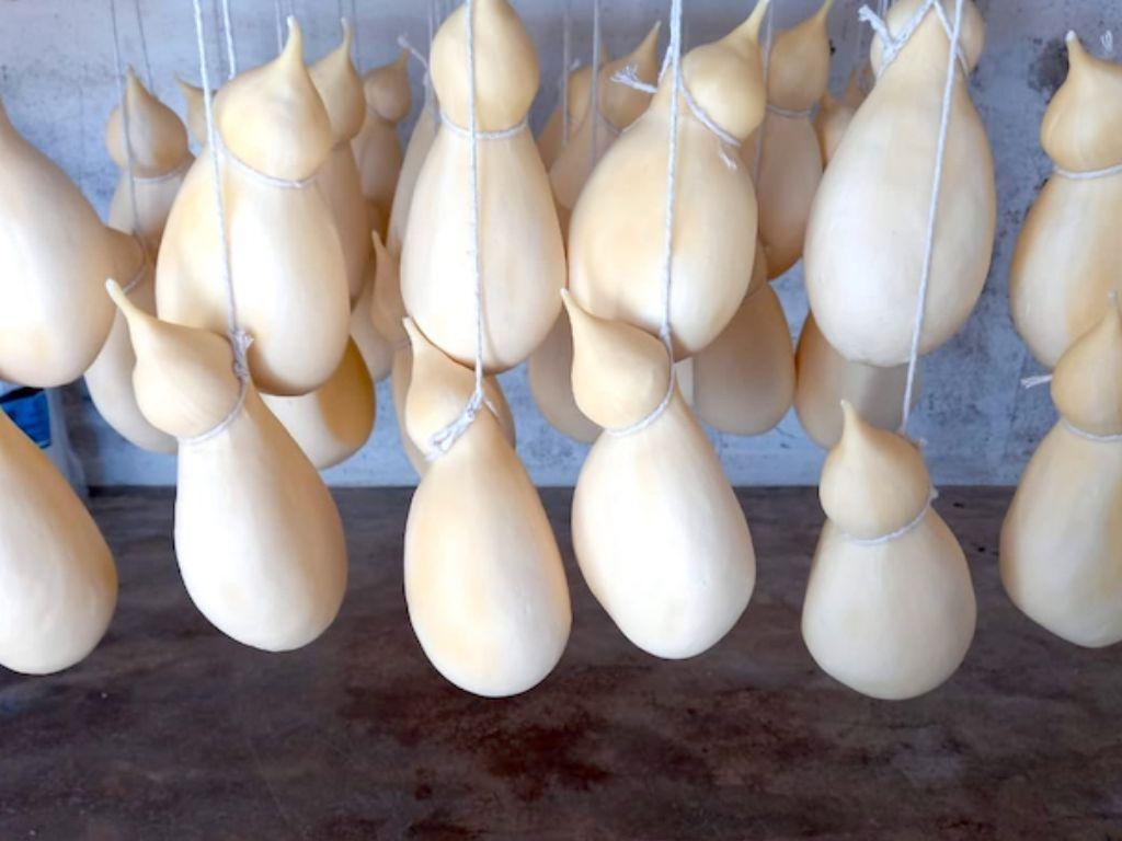 Avanços da Epamig na caracterização do queijo cabacinha no Vale do Jequitinhonha
